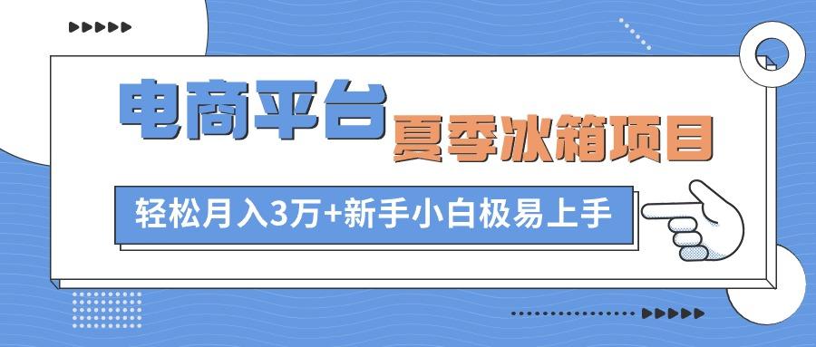 电商平台夏季冰箱项目，轻松月入3万+，新手小白极易上手-菜菜网创