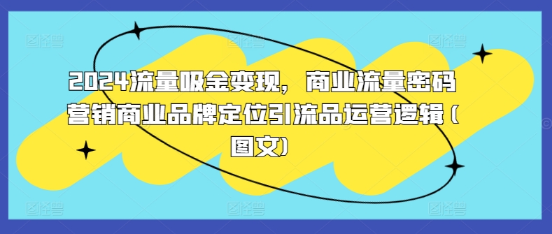 2024流量吸金变现，商业流量密码营销商业品牌定位引流品运营逻辑(图文)-菜菜网创