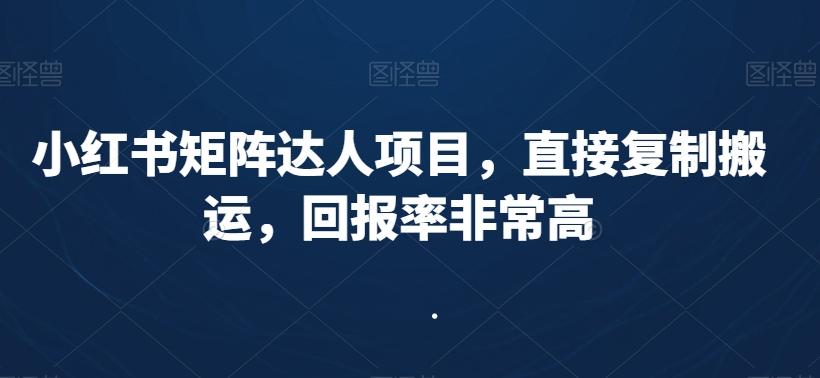小红书矩阵达人项目，直接复制搬运，回报率非常高-菜菜网创