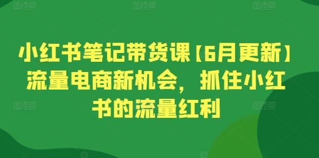 小红书笔记带货课【6月更新】流量电商新机会，抓住小红书的流量红利-菜菜网创