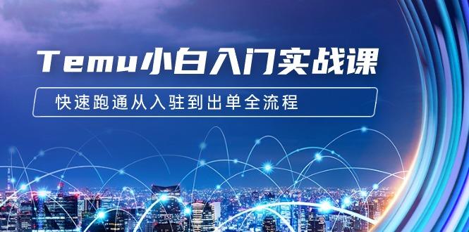 (9295期)Temu小白入门实战课：跨境拼多多电商培训 快速跑通从入驻到出单全流程-12节-菜菜网创