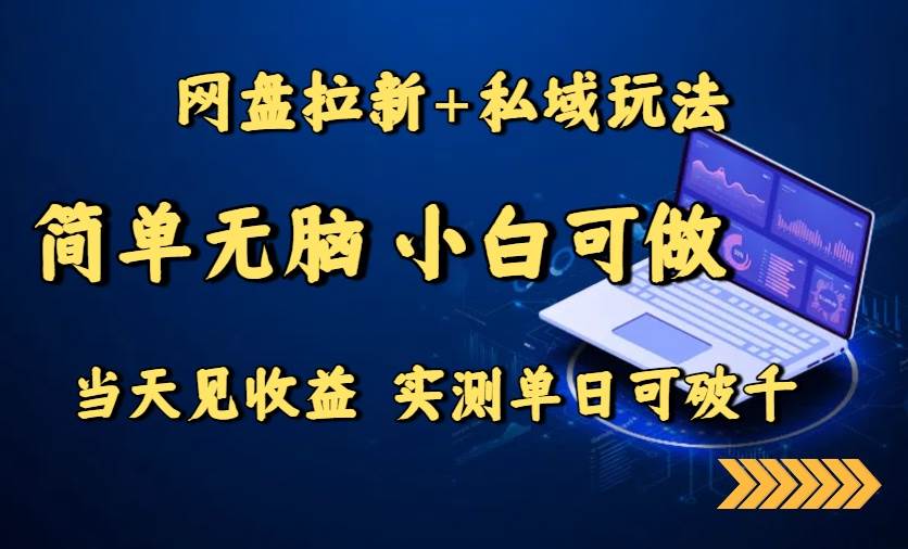 （15744期）网盘拉新+私域玩法，简单无脑，小白可做，当天见收益，实测单日可破千-菜菜网创