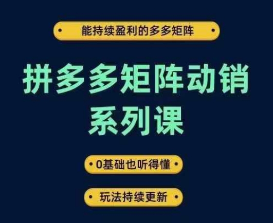 拼多多矩阵动销系列课，能持续盈利的多多矩阵，0基础也听得懂，玩法持续更新-菜菜网创
