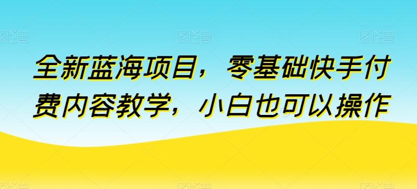 全新蓝海项目，零基础快手付费内容教学，小白也可以操作【揭秘】-菜菜网创