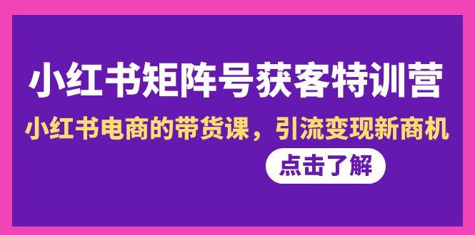 小红书-矩阵号获客特训营-第10期，小红书电商的带货课，引流变现新商机-菜菜网创