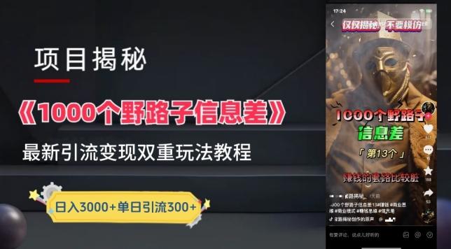 一千个野路子信息差最新玩法教程-变现+引流的玩法具体拆解【揭秘】-菜菜网创