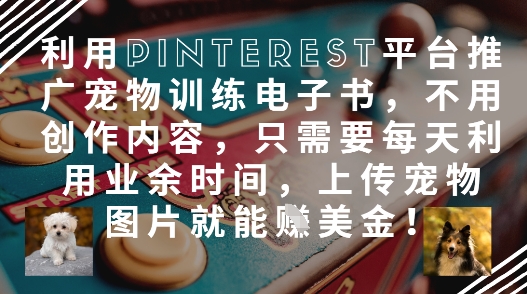 利用Pinterest平台推广宠物训练电子书，不用创作内容，只需要每天利用业余时间，上传宠物图片就能挣美金!-菜菜网创
