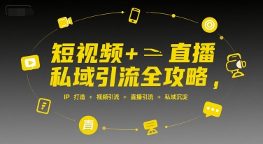 短视频+直播私域引流全攻略，IP打造 +视频引流 +直播引流 +私域沉淀-菜菜网创