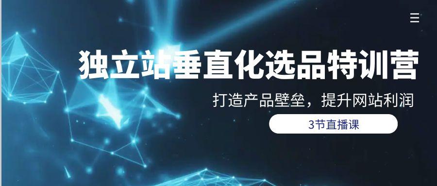 (9925期)独立站-垂直化选品训练营，打造产品壁垒，提升网站利润(3节直播课)-菜菜网创
