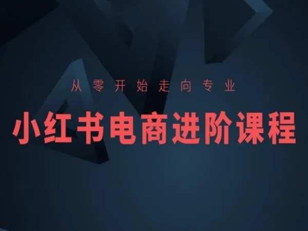 从零开始走向专业，小红书电商进阶课程-菜菜网创
