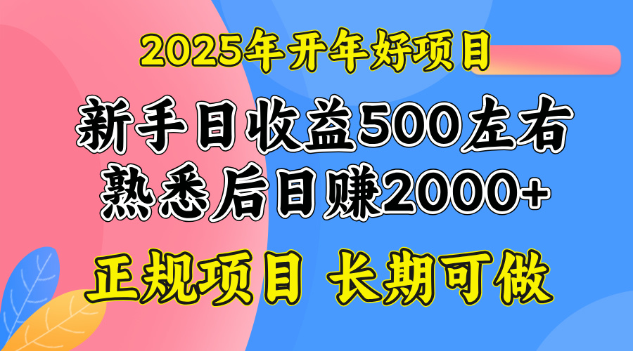 2025开年好项目，单号日收益2000左右-菜菜网创