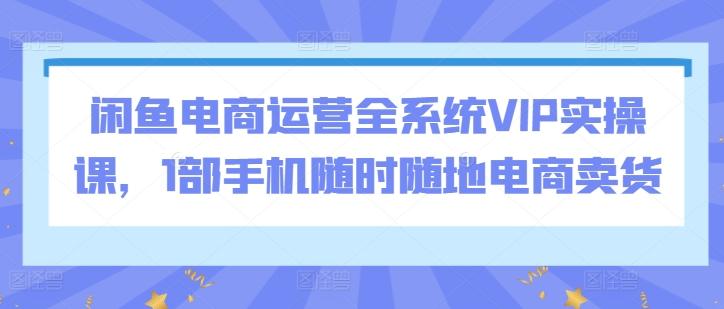 闲鱼电商运营全系统VIP实操课，1部手机随时随地电商卖货-菜菜网创