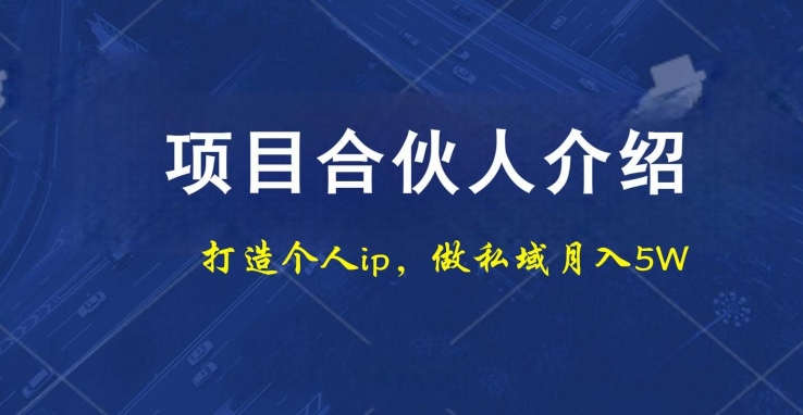 项目合伙人项目，打造个人IP，做私域月入5W，小白勿扰-菜菜网创