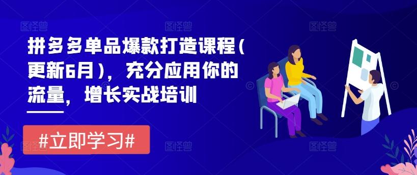 拼多多单品爆款打造课程(更新6月)，充分应用你的流量，增长实战培训-菜菜网创