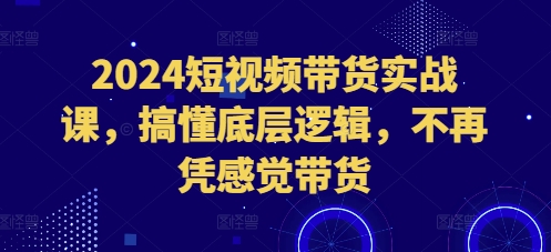 2024短视频带货实战课，搞懂底层逻辑，不再凭感觉带货-菜菜网创