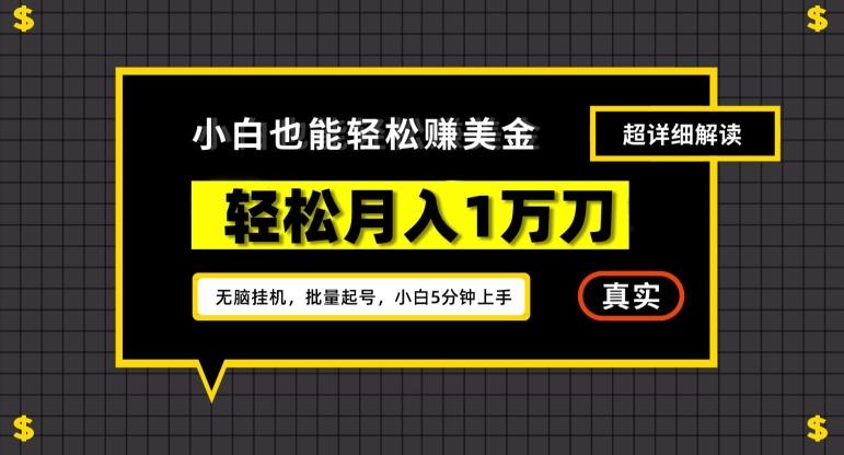 谷歌看广告撸美金2.0，无脑挂机，多号操作，月入1万刀【揭秘】-菜菜网创