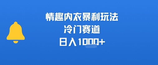 情趣内衣暴利玩法，冷门赛道，日入1k+-菜菜网创