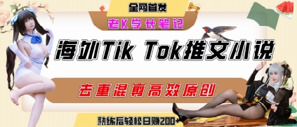 海外tiktok小说推文暴力项目，高停留率，高转化率，上手后一天搞顿饭钱不是问题-菜菜网创