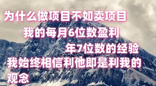 做项目不如卖项目，每月6位数盈利，年7位数经验-菜菜网创