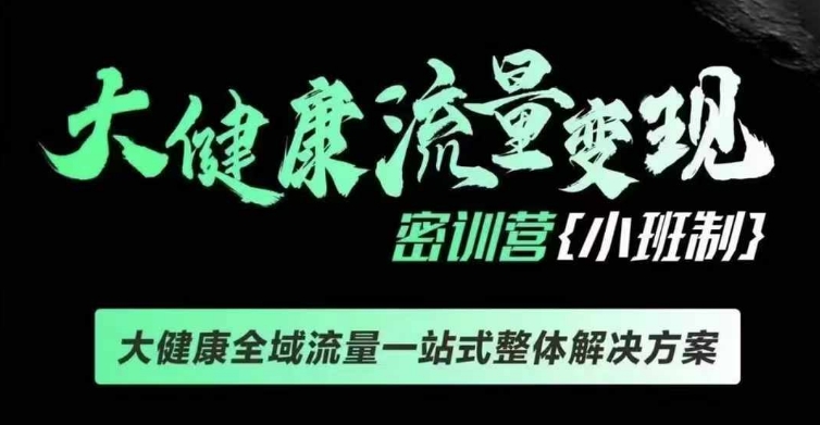 千万级大健康变现课线下课，大健康全域流量一站式整体解决方案-菜菜网创