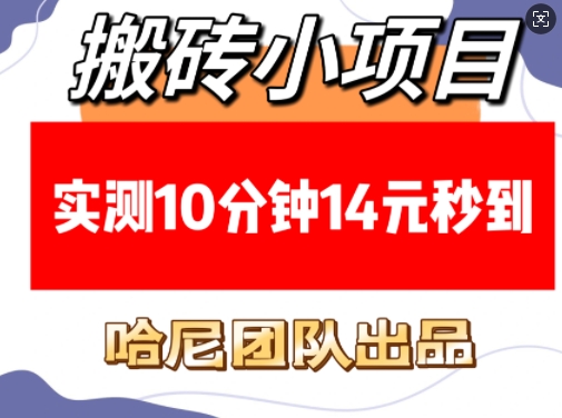 搬砖小项目，实测10分钟14元秒到，每天稳定几张(赠送必看稳定)-菜菜网创