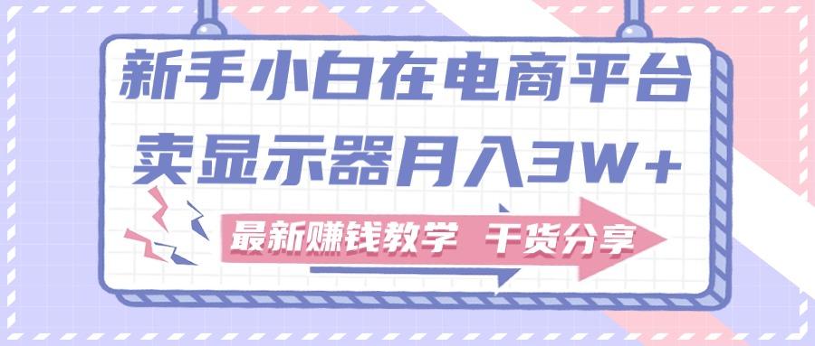 新手小白如何做到在电商平台卖显示器月入3W+，最新赚钱教学干货分享-菜菜网创