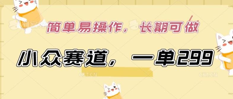 小众赛道，一单299.简单易操作，长期可做【揭秘】-菜菜网创