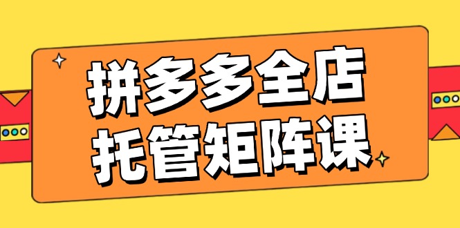 拼多多全店托管矩阵课，盈利动销玩法，高效计划设置，提升店铺效益-菜菜网创