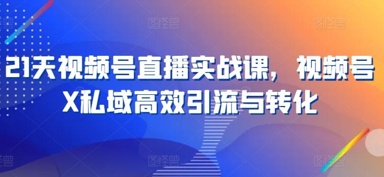 21天视频号直播实战课，视频号X私域高效引流与转化-菜菜网创
