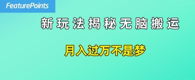 简单操作，每天50美元收入，搬运就是赚钱的秘诀【揭秘】-菜菜网创