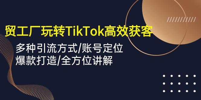 外贸工厂玩转TikTok高效获客，多种引流方式/账号定位/爆款打造/全方位讲解-菜菜网创