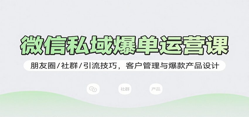 微信私域爆单运营课：朋友圈/社群/引流技巧，客户管理与爆款产品设计-菜菜网创