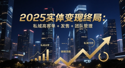 2025实体变现终局：私域高客单+发售+团队管理-菜菜网创