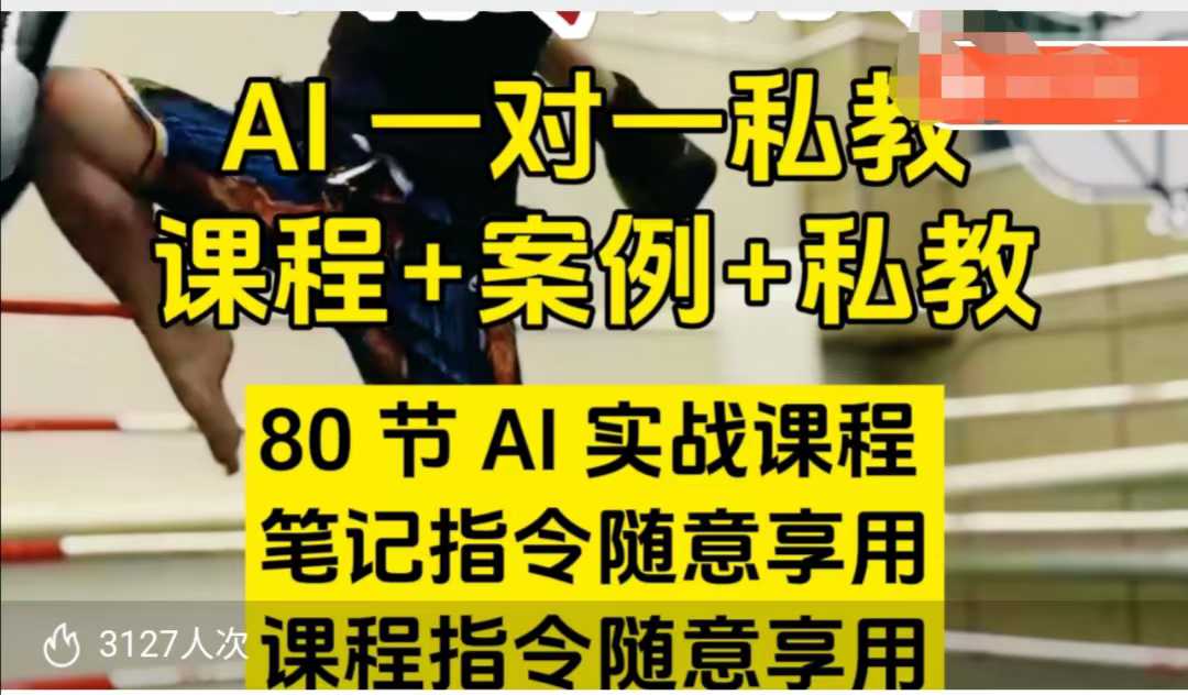 AI指令实战课，课程+案例，80节AI实战课程，笔记指令随意享用，课程指令随意享用（更新7月）-菜菜网创