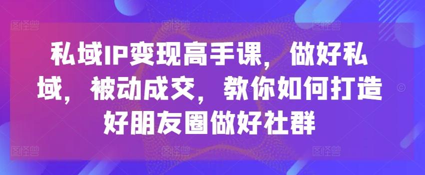 私域IP变现高手课，做好私域，被动成交，教你如何打造好朋友圈做好社群-菜菜网创