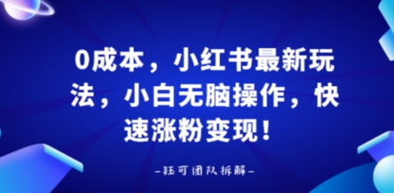 0成本，小红书最新玩法，小白无脑操作，快速涨粉变现-菜菜网创