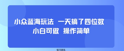 小众蓝海玩法 一天搞了四位数 小白可做 操作简单-菜菜网创