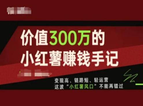价值300万的小红书赚钱手记，变现高、链路短、轻运营，这波“小红薯风口”不能再错过-菜菜网创