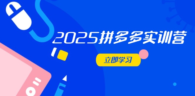 2025拼多多实训营：深度剖析运营关键，助力电商人快速提升-菜菜网创