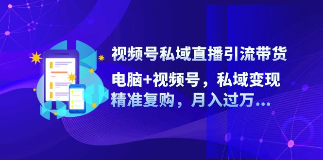 视频号私域直播引流带货：电脑+视频号，私域变现，精准复购，月入过万…-菜菜网创