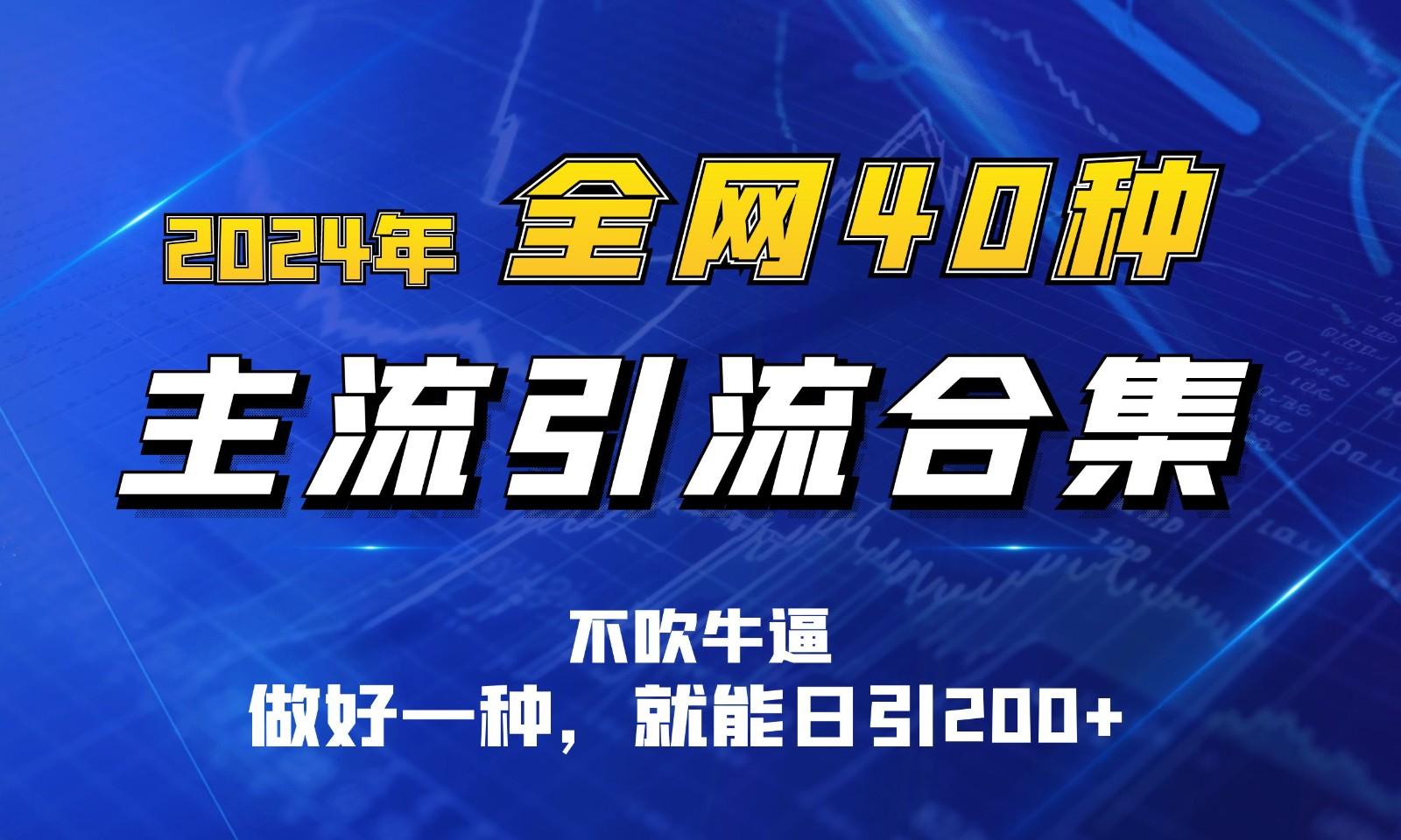 2024年全网40种暴力引流合计，做好一样就能日引100+-菜菜网创