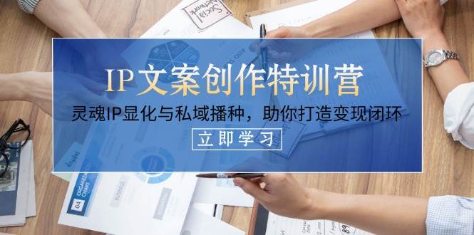 IP文案创作特训营，灵魂IP显化与私域播种，助你打造变现闭环(14节课)-菜菜网创