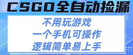 CSGO自动捡漏项目，最新独家玩法，不用挂G不用玩游戏，一个手机即可操作，新手小白轻松月入1W+【揭秘】-菜菜网创