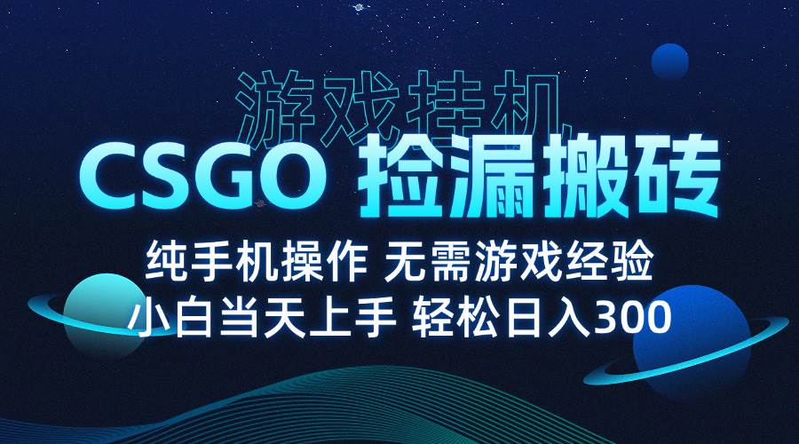 （15820期）8月最新游戏搬砖，CSGO纯挂机，不需要玩游戏，实现真挂机，月入1W+-菜菜网创