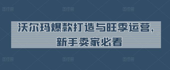 沃尔玛爆款打造与旺季运营，新手卖家必看-菜菜网创