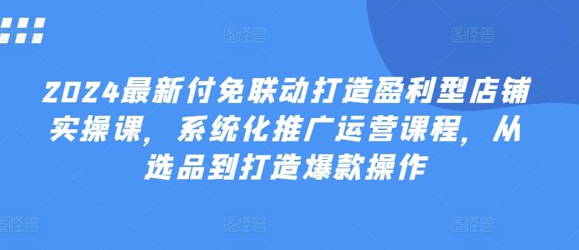2024最新付免联动打造盈利型店铺实操课，​系统化推广运营课程，从选品到打造爆款操作-菜菜网创