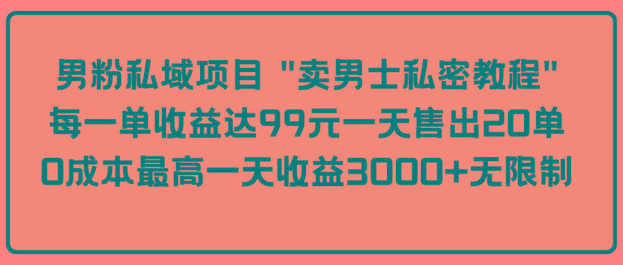 (9730期)男粉私域项目 “卖男士私密教程” 每一单收益达99元一天售出20单-菜菜网创