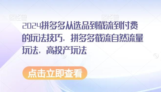 2024拼多多从选品到截流到付费的玩法技巧，拼多多截流自然流量玩法，高投产玩法-菜菜网创