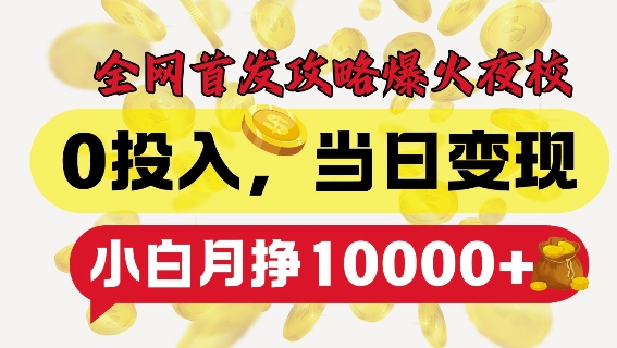 全网首发爆火夜校，0投入，当日变现，小白轻松月入1w+【揭秘】-菜菜网创