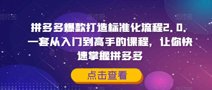 拼多多爆款打造标准化流程2.0，一套从入门到高手的课程，让你快速掌握拼多多-菜菜网创